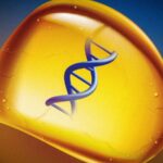 A close-up illustration of a translucent amber-colored rock with a DNA double helix held inside