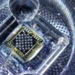 A sensor chip with multiple small pixels is shown