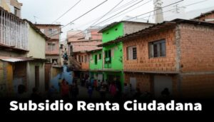 Subsidio Renta Ciudadana 2025